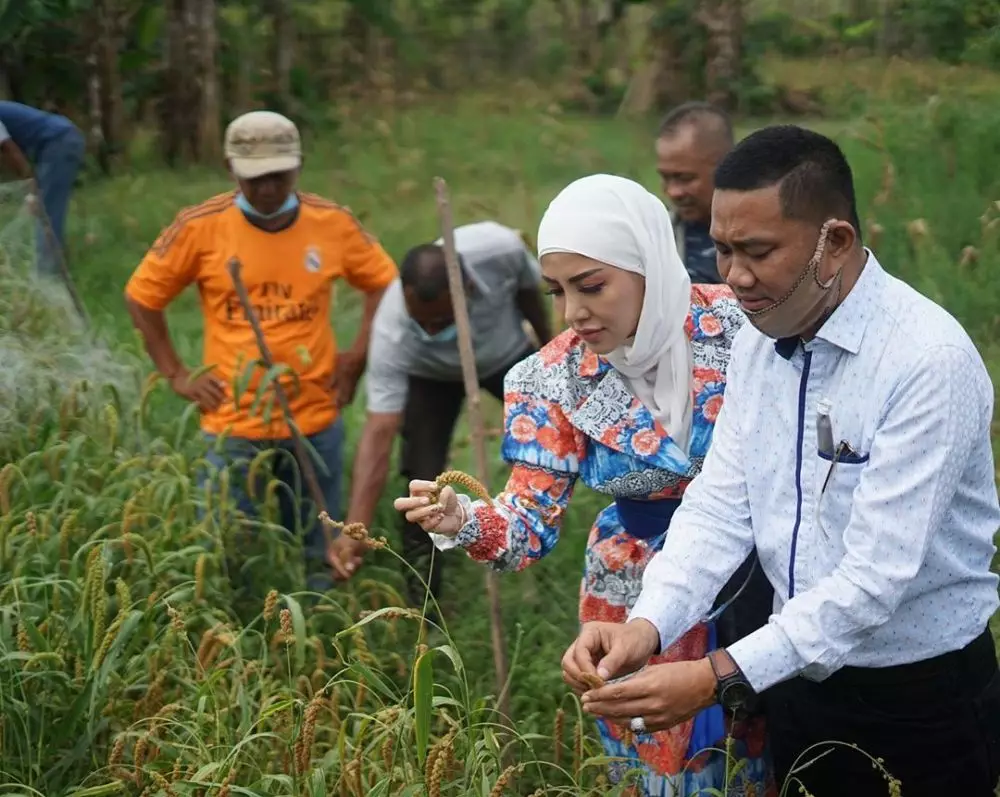 momen seleb panen padi © 2020 Instagram momen seleb panen padi © 2020 Instagram