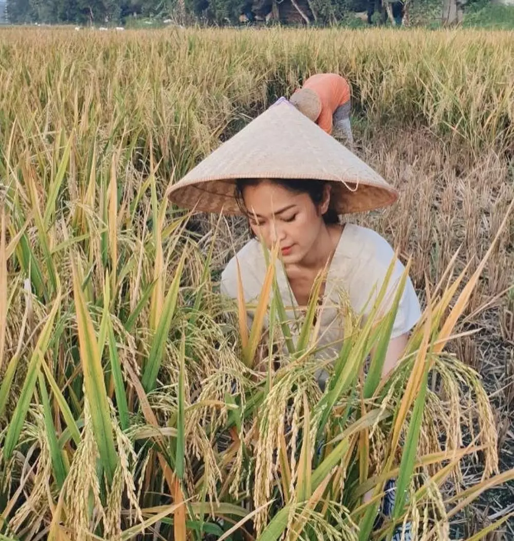 momen seleb panen padi © 2020 Instagram momen seleb panen padi © 2020 Instagram