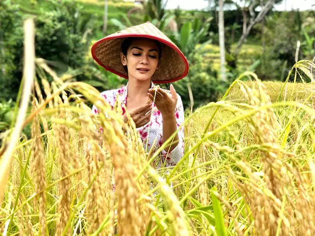 momen seleb panen padi © 2020 Instagram momen seleb panen padi © 2020 Instagram