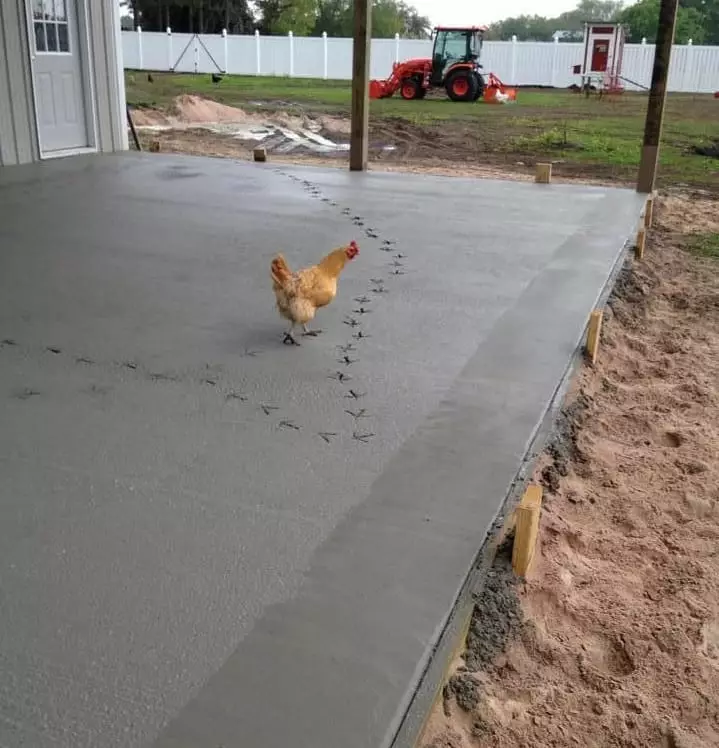 aksi binatang rusak cor semen jalan Berbagai Sumber