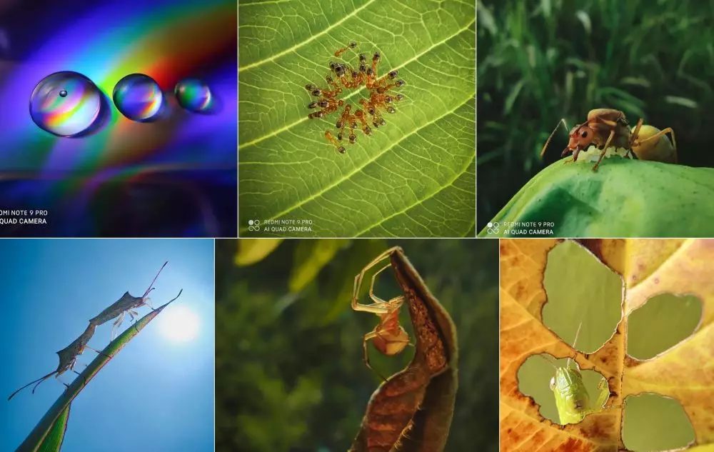 Foto kamera smartphone © 2020 brilio.net