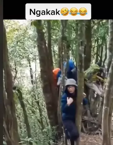 Pendaki naik pohon karena babi TikTok//@whiilmanmontanareall.2 Pendaki naik pohon karena babi TikTok//@whiilmanmontanareall.2