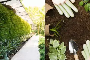 8 Cara mudah membuat vertical garden di rumah, bikin udara sejuk