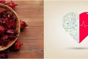 10 Manfaat bunga rosela untuk kesehatan, bantu turunkan berat badan