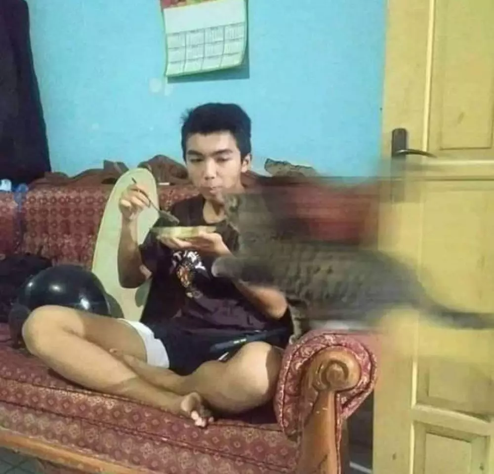 orang dijahili hewan  Berbagai Sumber