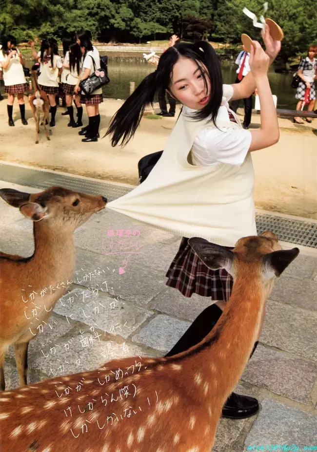 orang dijahili hewan  Berbagai Sumber