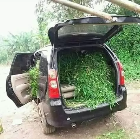 potret orang terlalu kaya Berbagai Sumber potret orang terlalu kaya Berbagai Sumber