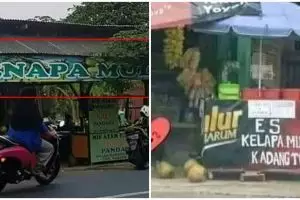10 Spanduk lucu penjual es kelapa muda ini absurdnya bikin geli