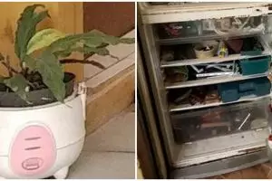 10 Potret barang rusak beralih fungsi jadi tak terduga, kreatif