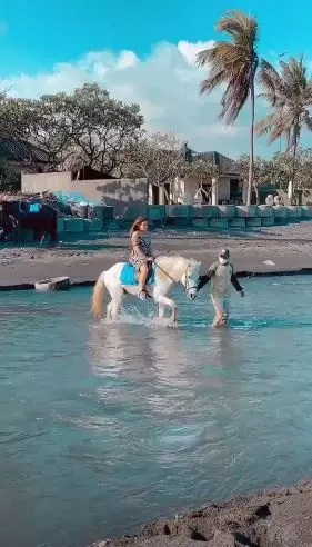 Ashanty Aurel kuda instagram