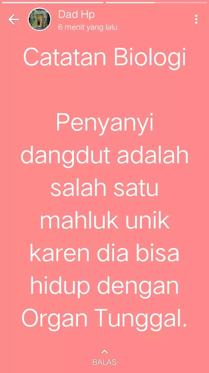 Jokes bapak di WhatsApp Twitter