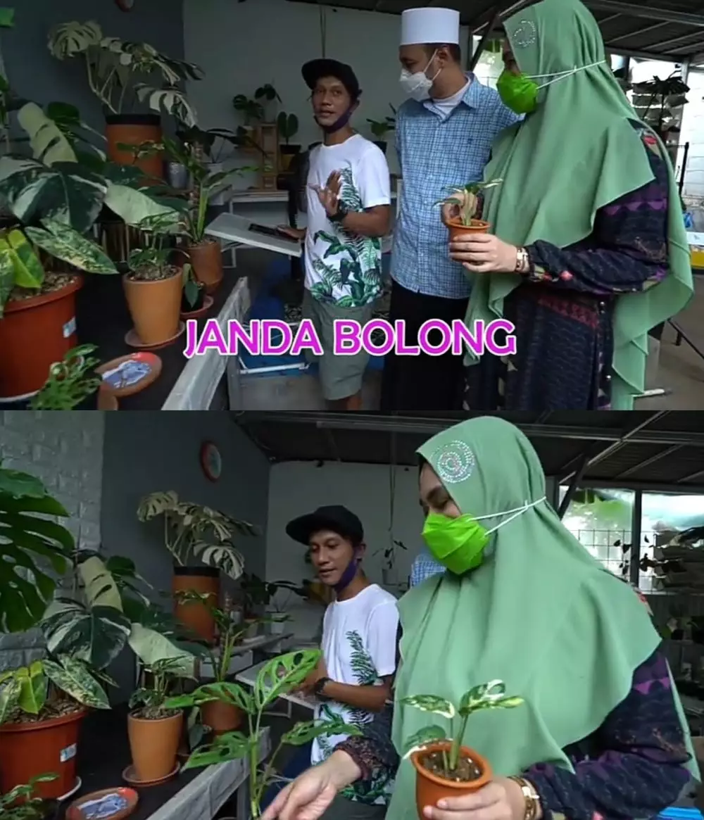 Kartika Putri berburu tanaman Janda Bolong © 2020 brilio.net YouTube Kartika Putri berburu tanaman Janda Bolong © 2020 brilio.net YouTube