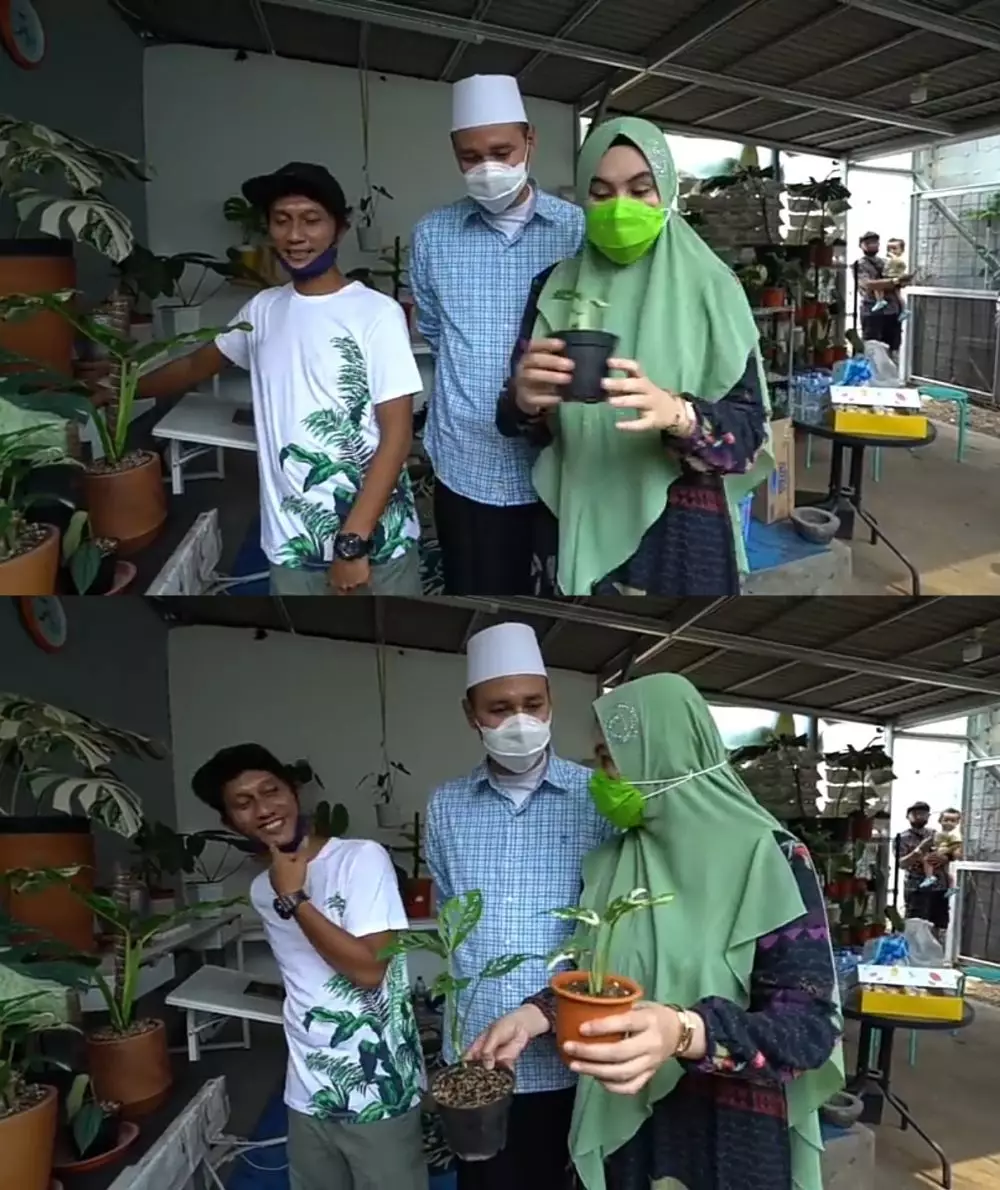 Kartika Putri berburu tanaman Janda Bolong © 2020 brilio.net YouTube Kartika Putri berburu tanaman Janda Bolong © 2020 brilio.net YouTube