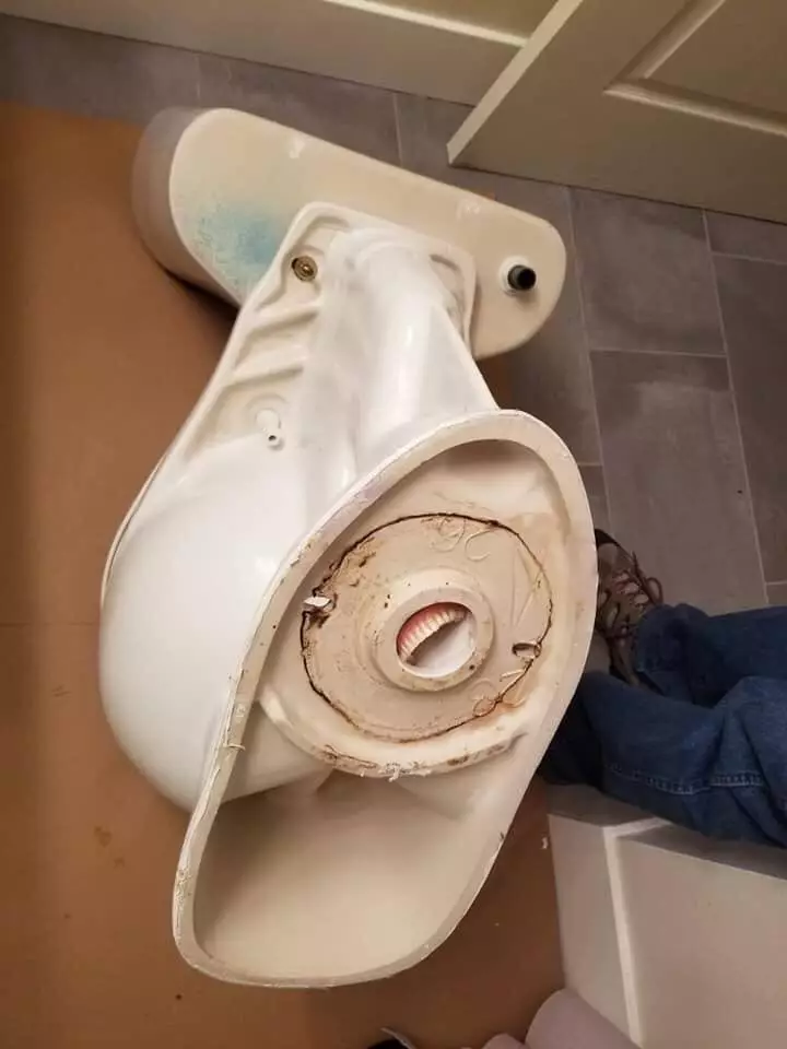 penemuan aneh di toilet Berbagai Sumber penemuan aneh di toilet Berbagai Sumber