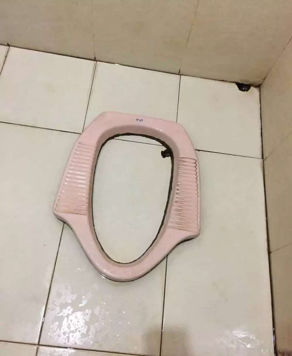 penemuan aneh di toilet Berbagai Sumber penemuan aneh di toilet Berbagai Sumber