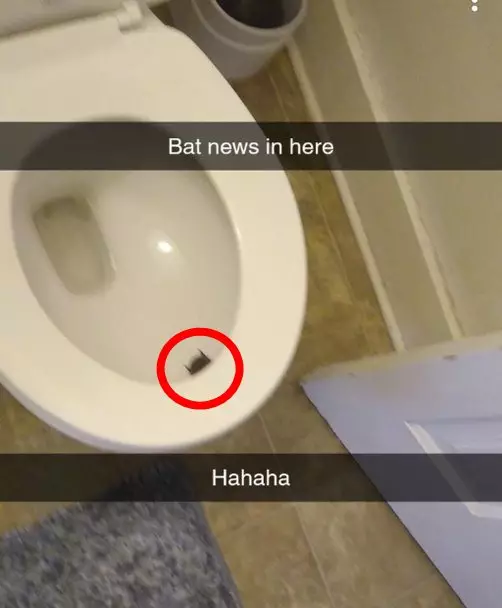 penemuan aneh di toilet Berbagai Sumber penemuan aneh di toilet Berbagai Sumber