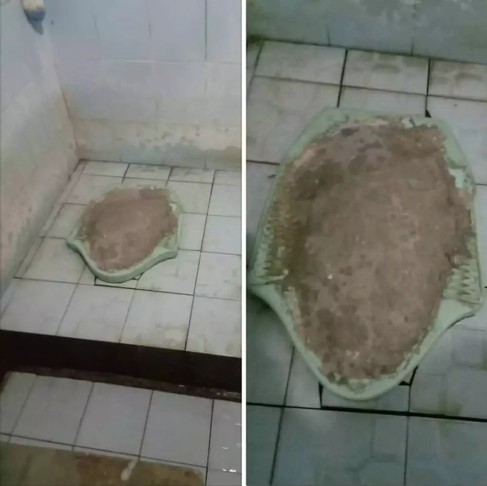 penemuan aneh di toilet Berbagai Sumber penemuan aneh di toilet Berbagai Sumber