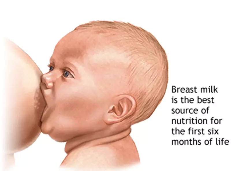 Fakta ASI dan menyusui © 2020 brilio.net Fakta ASI dan menyusui © 2020 brilio.net