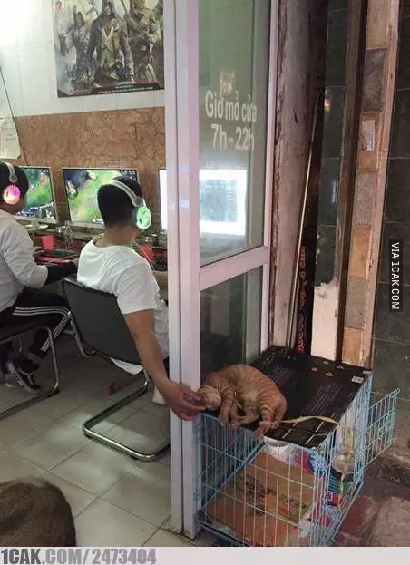 aksi nyeleneh main game Berbagai Sumber