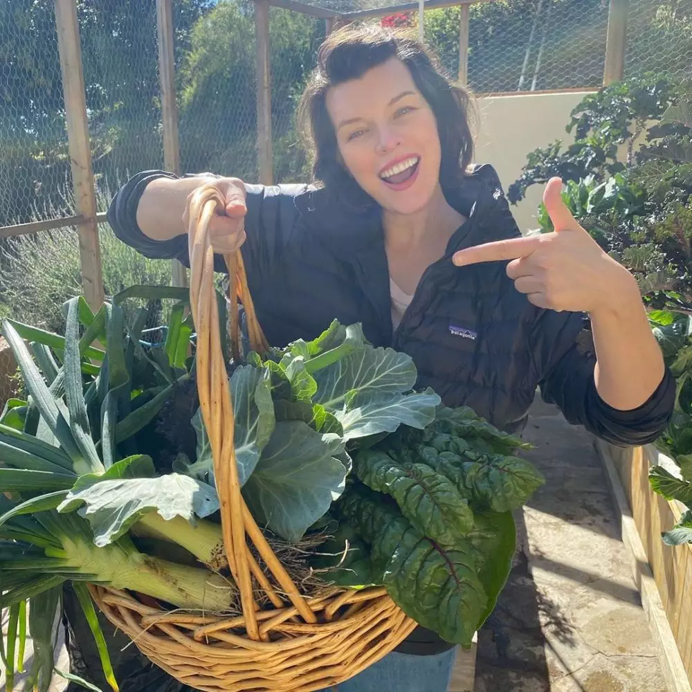 seleb Hollywood saat berkebun © 2020 brilio.net