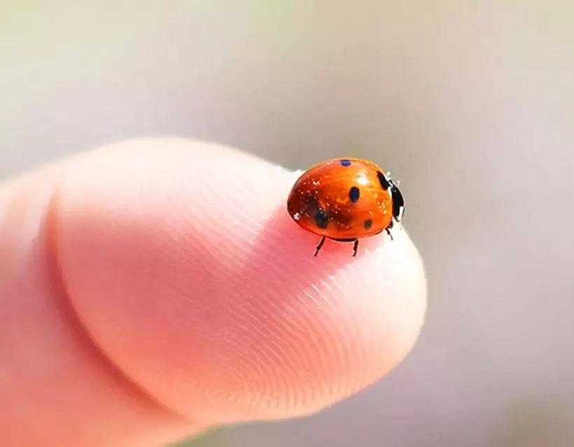 Kelebihan Samsung A51 samsung.com