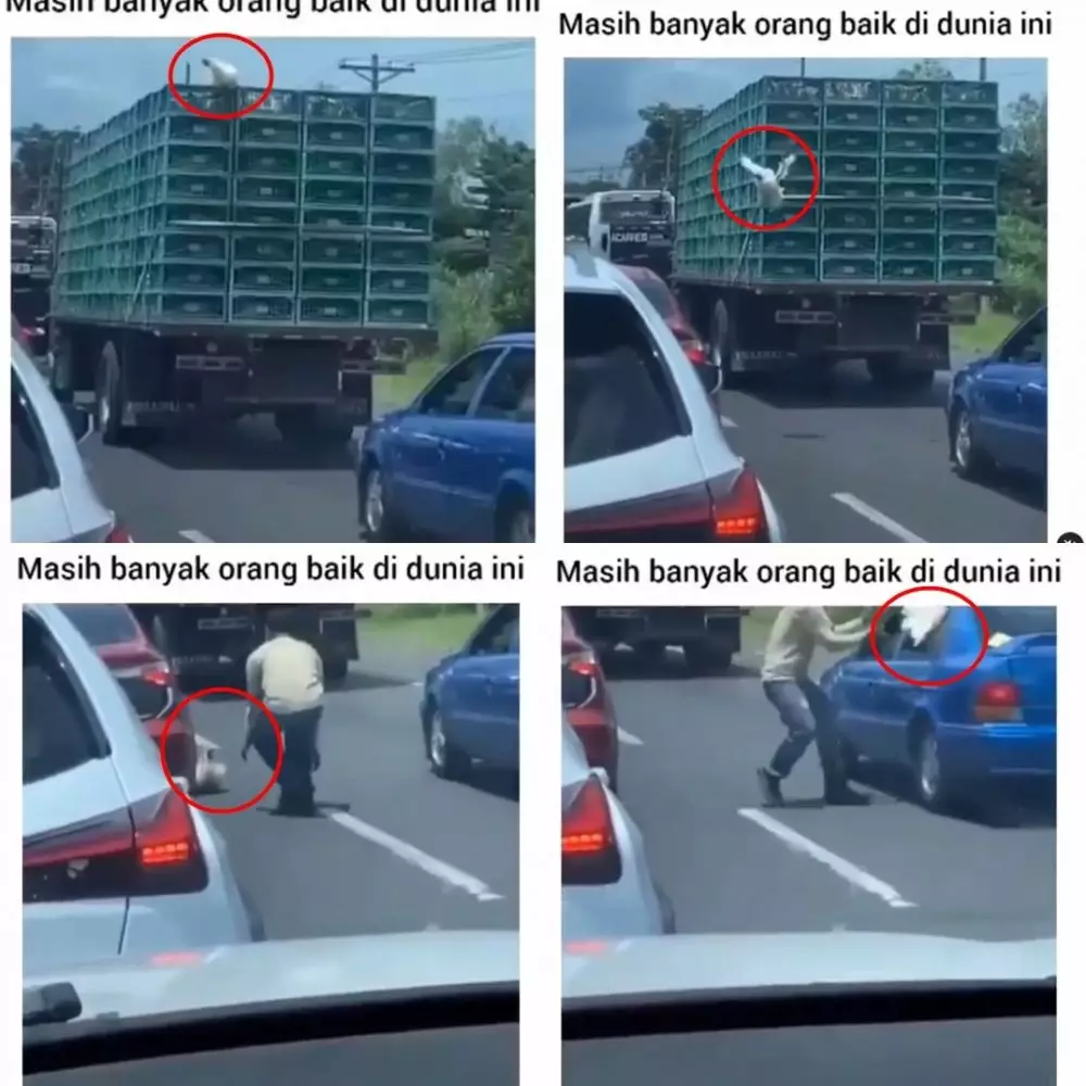 potret nggak mau rugi Berbagai sumber potret nggak mau rugi Berbagai sumber
