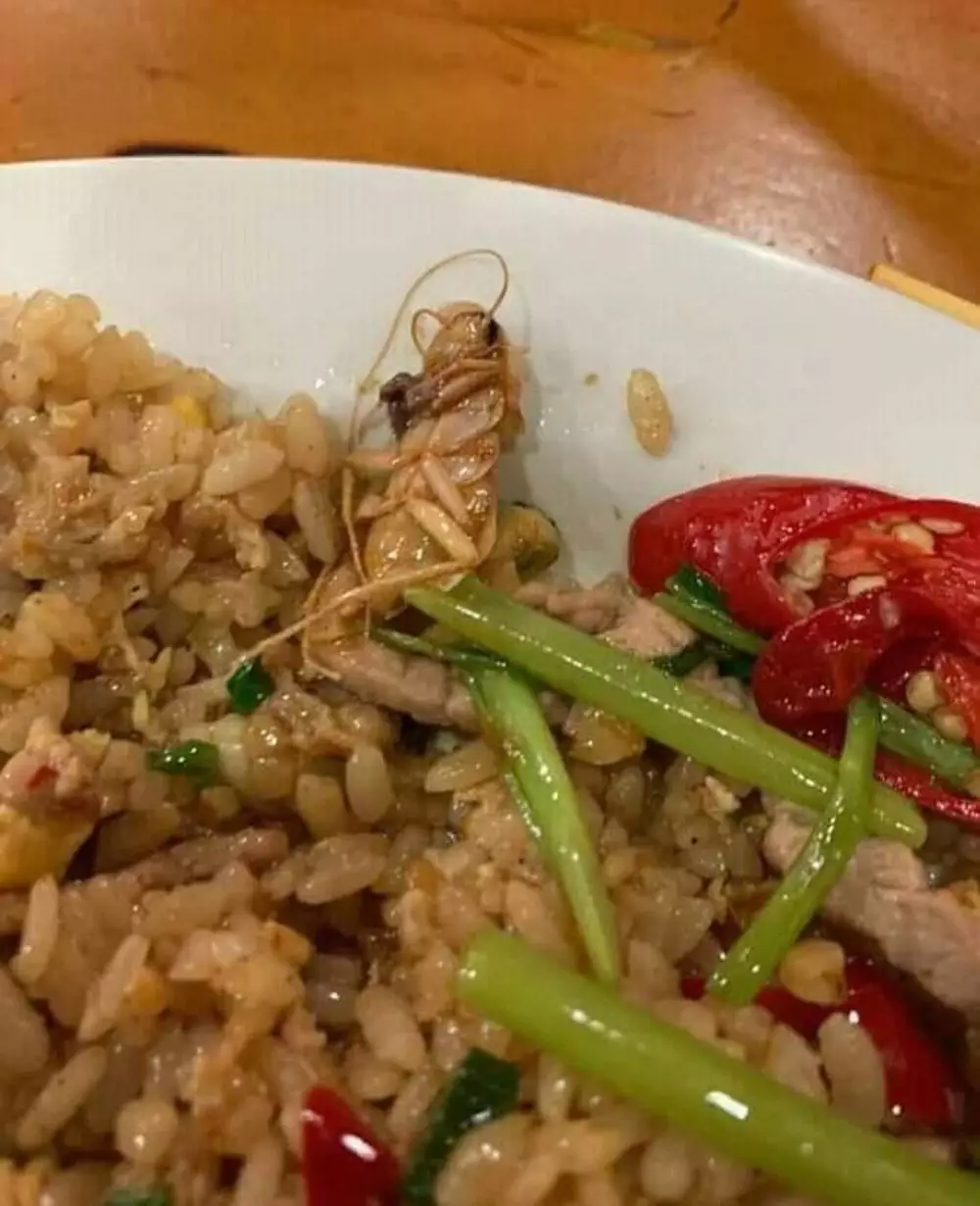 Momen gagal makan enak Instagram