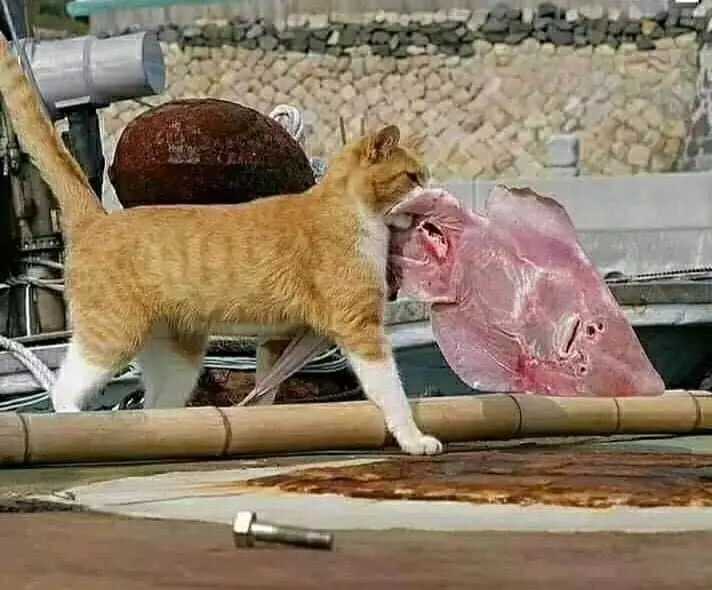 Momen gagal makan enak Instagram