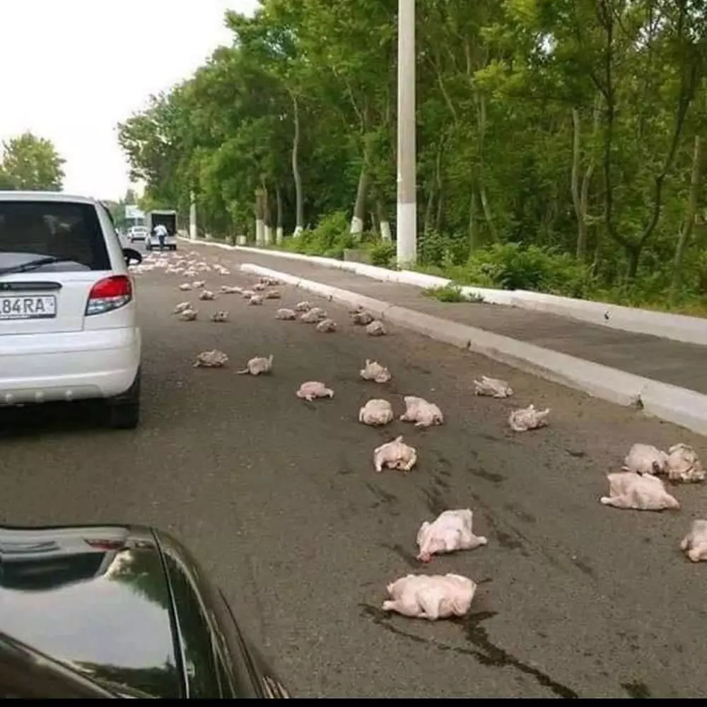 Momen gagal makan enak Instagram