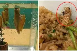 10 Momen gagal makan enak ini ngenesnya bikin ngelus dada