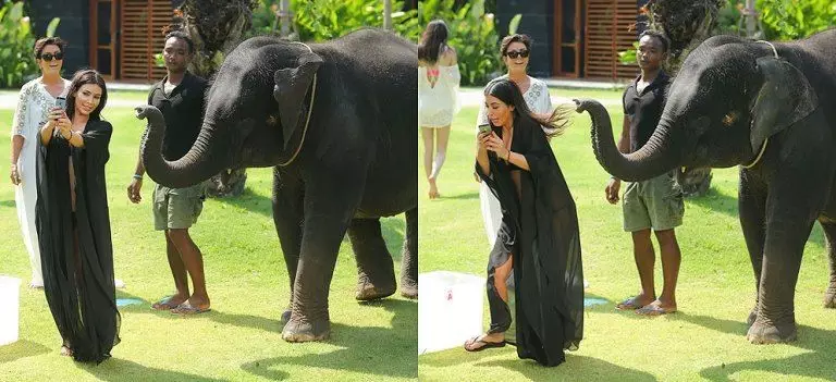 Potret bareng hewan apes Berbagai sumber