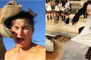 10 Potret orang foto bareng hewan berakhir apes, bikin tepuk jidat