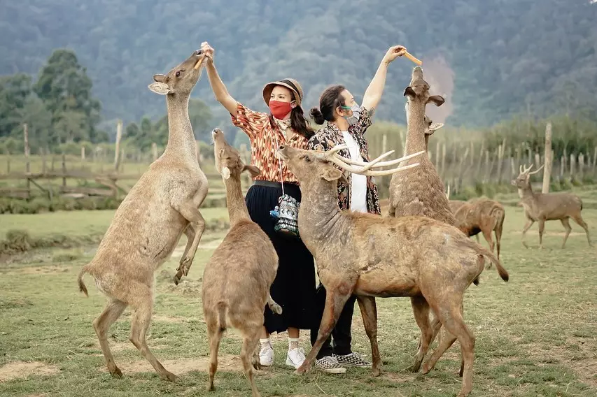 Potret liburan Nadine Chandrawinata dan Dimas Anggara © 2020 brilio.net