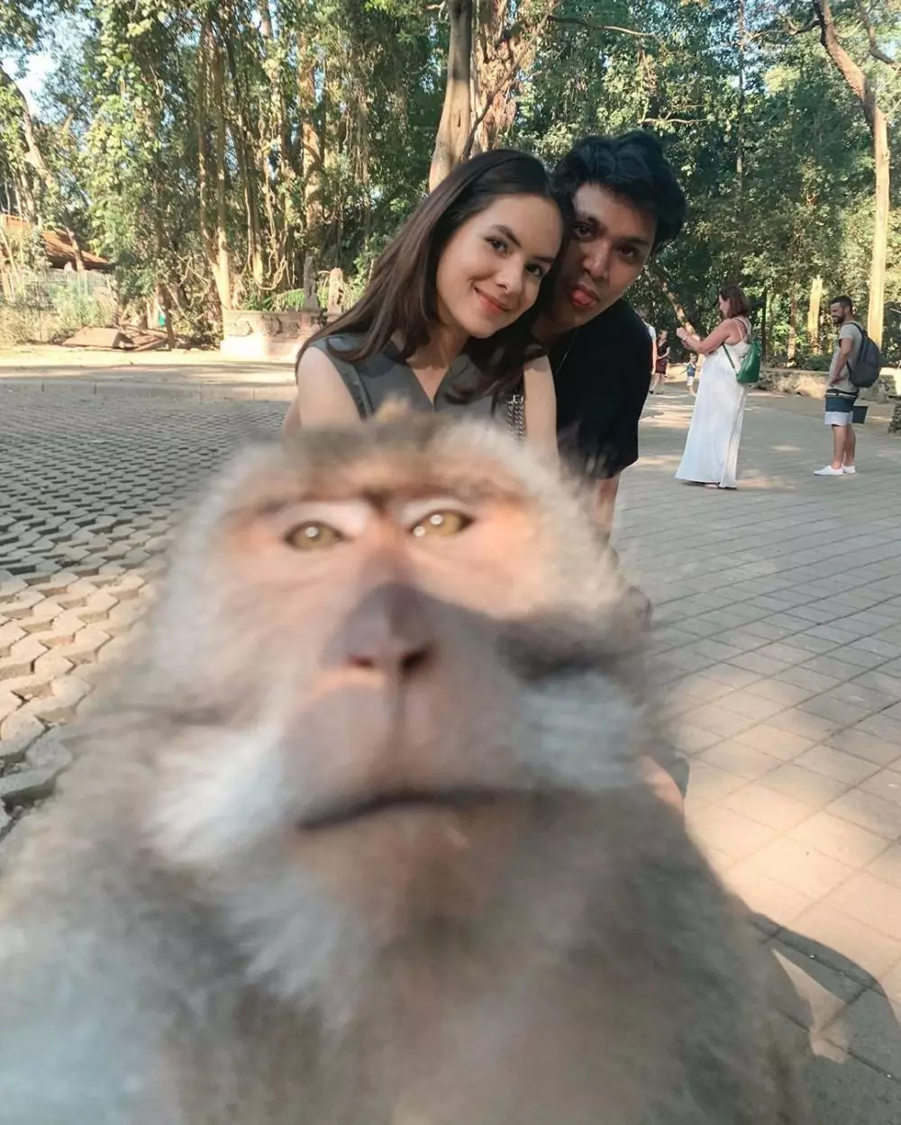 Seleb dan pebalap © 2020 brilio.net