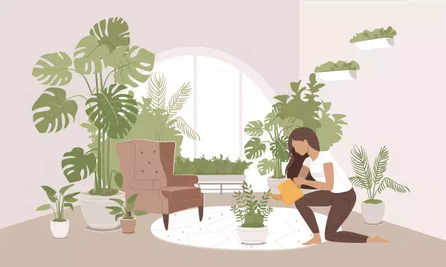 Cara merawat janda bolong © 2020 brilio.net