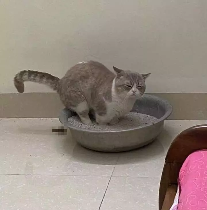 Potret benda nggak guna Berbagai sumber