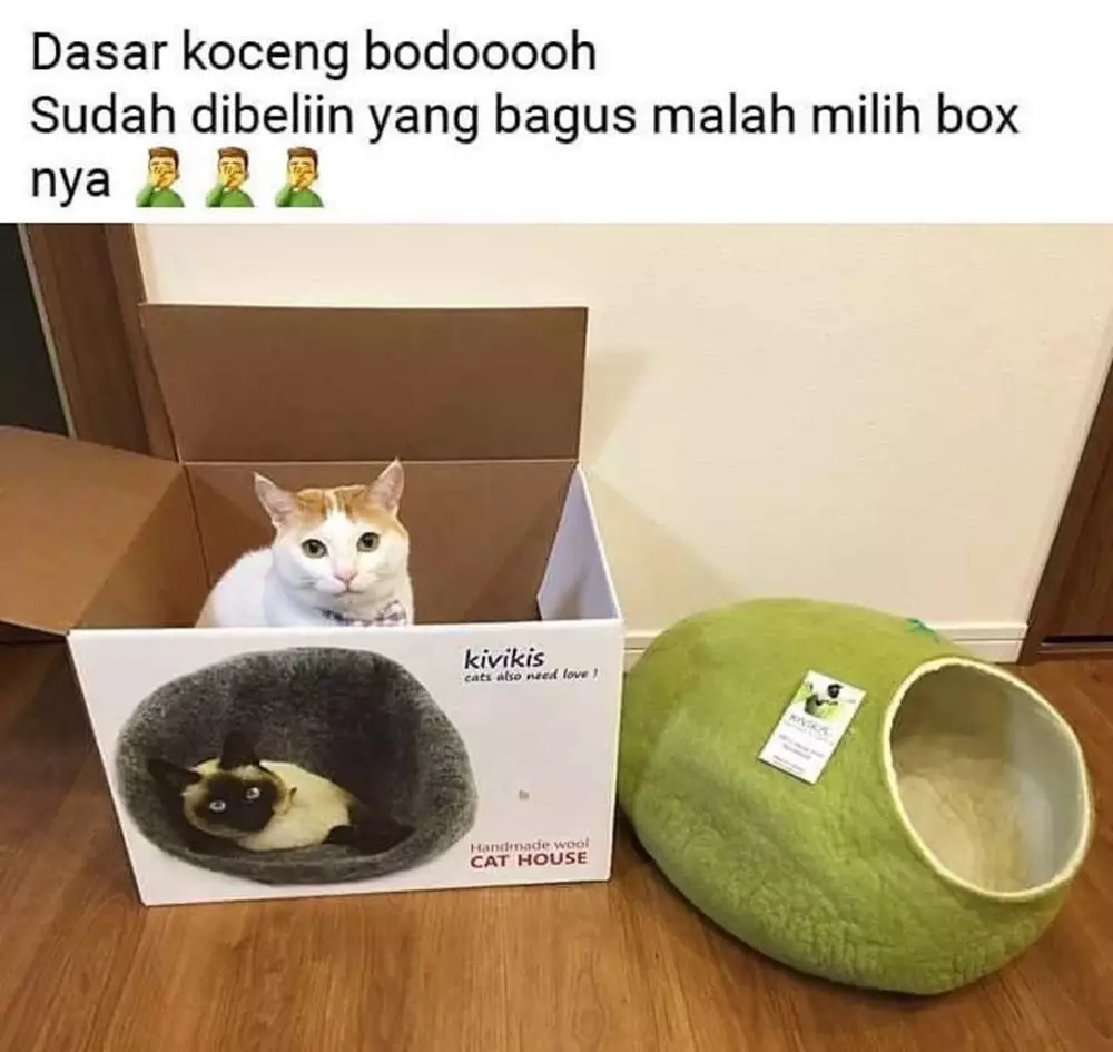 Potret benda nggak guna Berbagai sumber