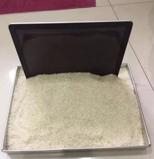 momen apes ketika menggunakan laptop Berbagai sumber