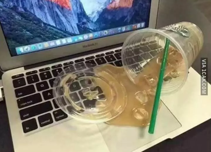 momen apes ketika menggunakan laptop Berbagai sumber