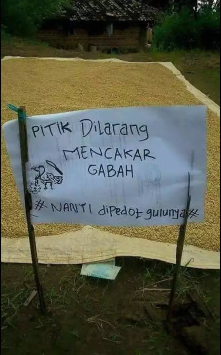 peringatan untuk hewan Berbagai sumber peringatan untuk hewan Berbagai sumber