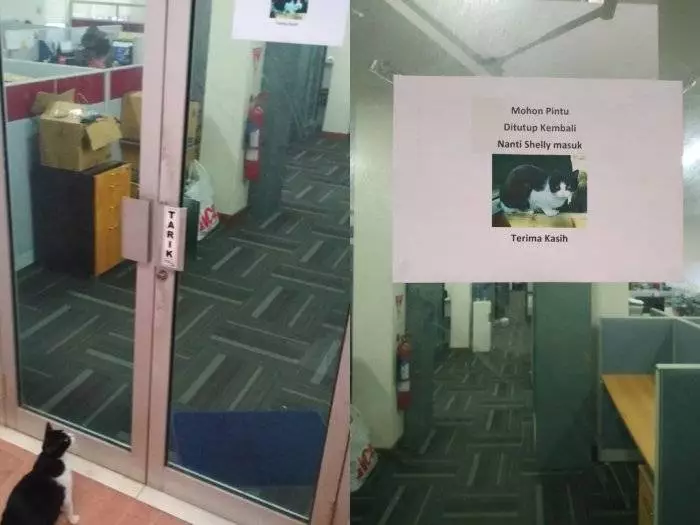 peringatan untuk hewan Berbagai sumber peringatan untuk hewan Berbagai sumber