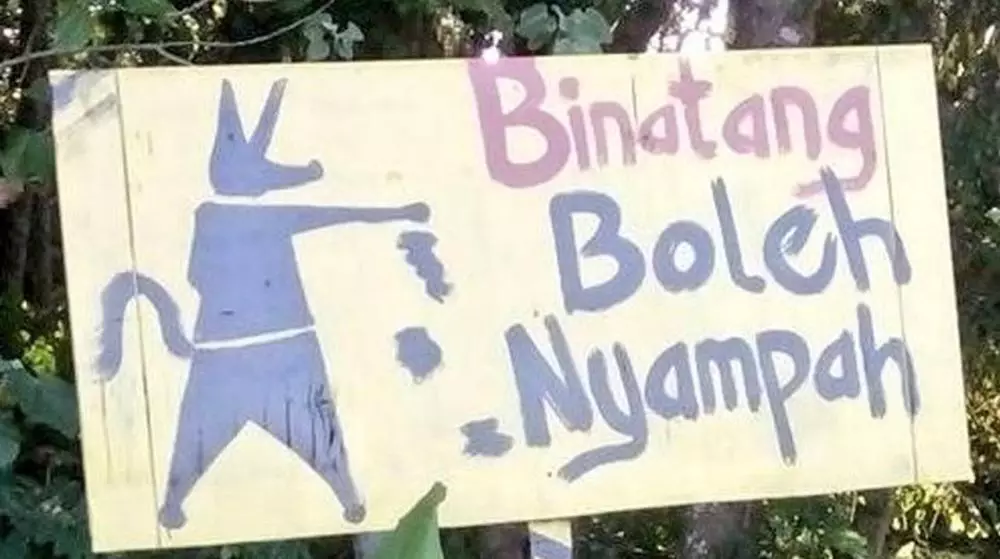 peringatan untuk hewan Berbagai sumber peringatan untuk hewan Berbagai sumber