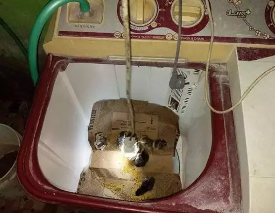 10 Inovasi kocak ala anak kos istimewa 10 Inovasi kocak ala anak kos istimewa