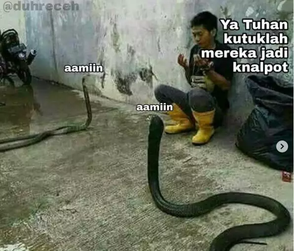 10 Caption foto momen apes ini bikin meringis istimewa