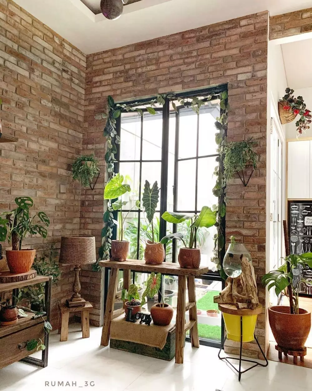 Cara merawat aglonema © 2020 brilio.net