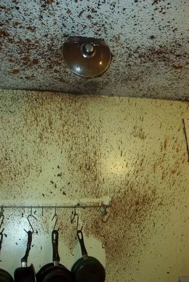 Barang dapur rusak boredpanda.com Barang dapur rusak boredpanda.com