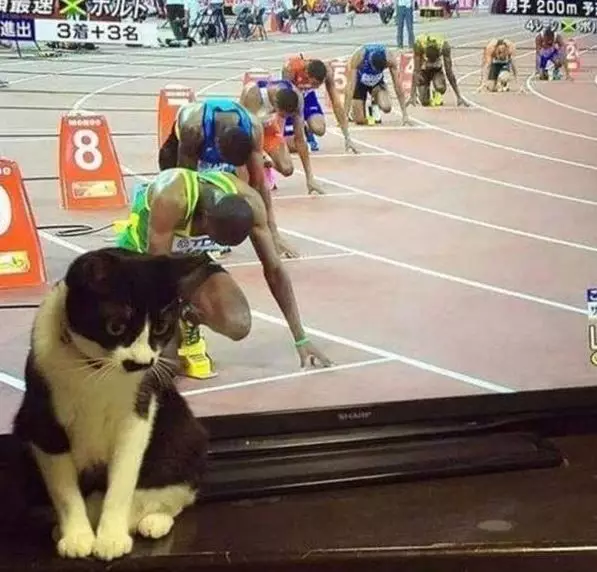 momen pas siaran olahraga Berbagai sumber