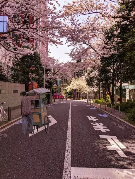 Pindah negara Berbagai sumber