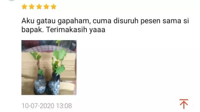 Testimoni beli buat orang lain Twitter