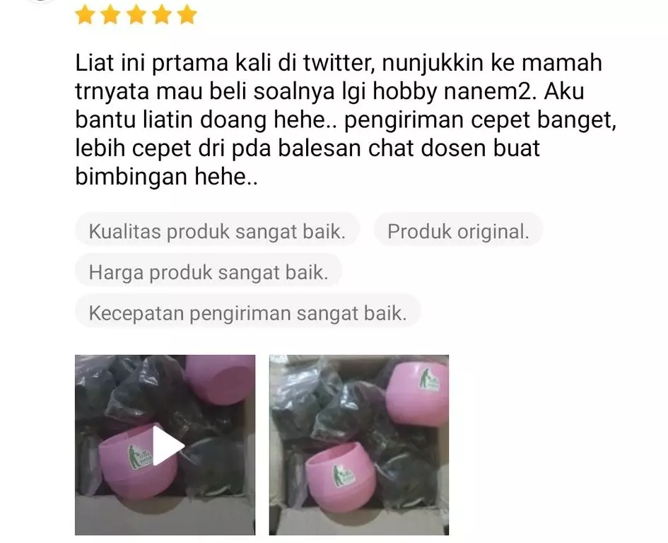 Testimoni beli buat orang lain Twitter